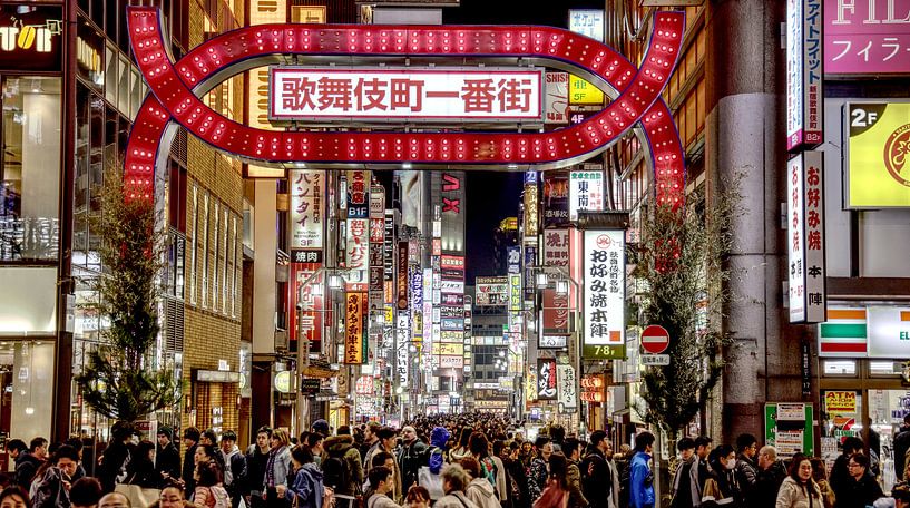 Neon Winter - Kabukichō in the Light by Hans van Oort