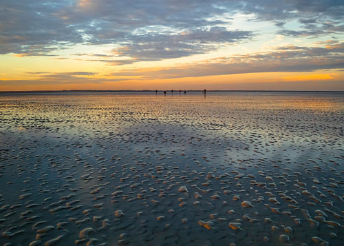 The vastness of the Wadden Sea