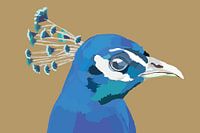 Portrait of a peacock