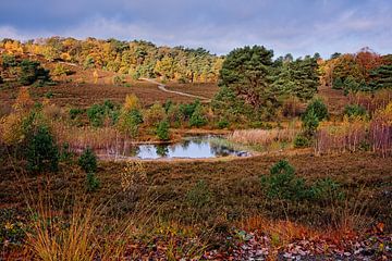 Brunssummerheide sur Rob Boon