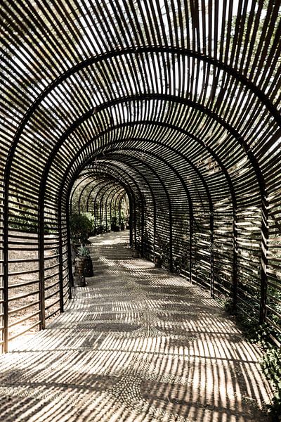 Shadow Garden by Shot by Clint