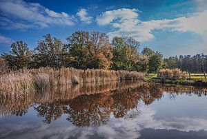 Reflectie van het mooie herfstlandschap