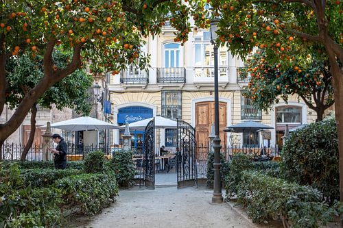 Orange park Valencia