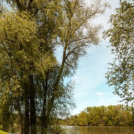 bomen langs een rivier in de zomer von Bernadet Gribnau