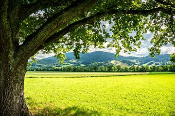 Panorama van Kirchzarten van Andreas Nägeli