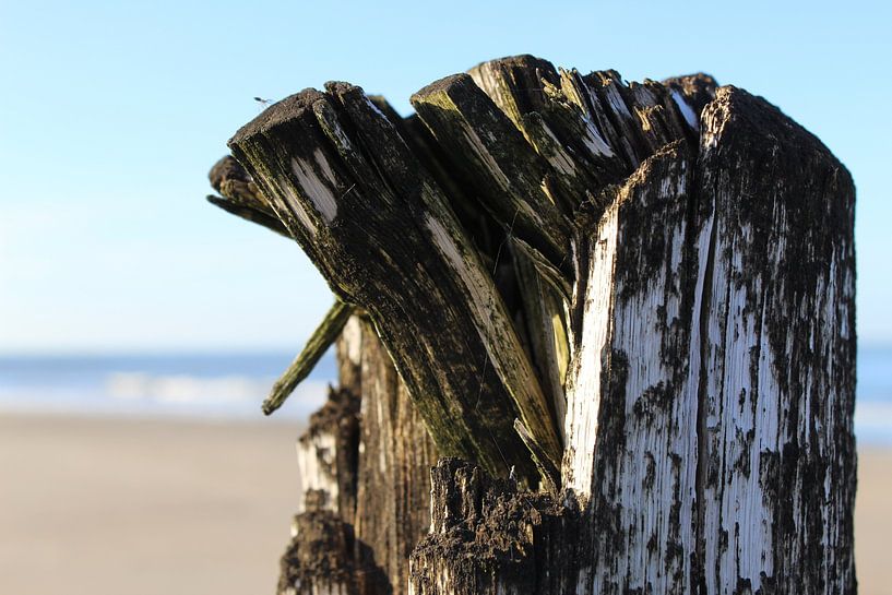 Coastal pole from Zeeland by Anne Brouwer