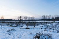 La neige recouvre les arbres de la forêt au coucher du soleil.