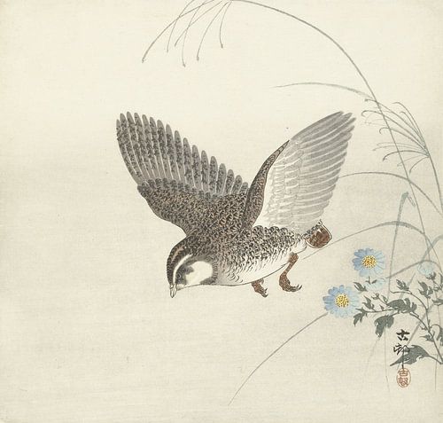 Vliegende kwartel van Ohara Koson