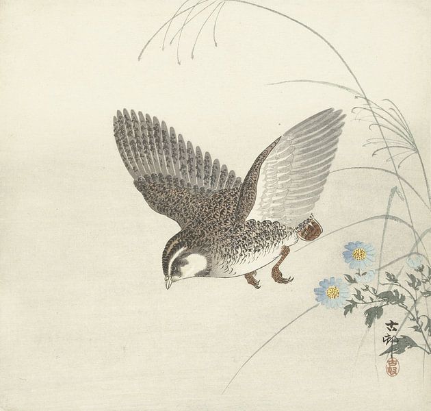 Caille volante de Ohara Koson par Gave Meesters