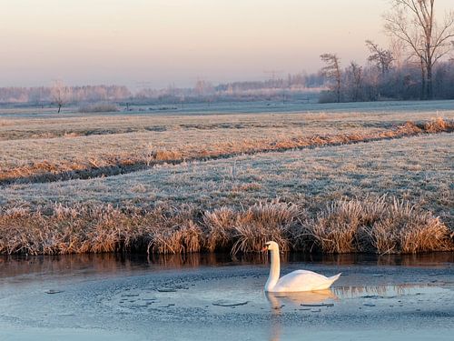 Herfstlandschappen Landgoed Haar zuilen, Utrecht