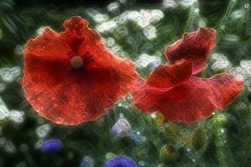 Klatschmohnstillleben