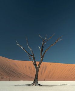 Baum bei Vollmond