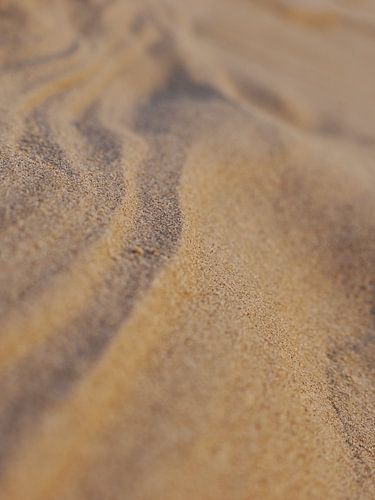 Spel van schaduw en warm zonlicht op het strand van Texel.