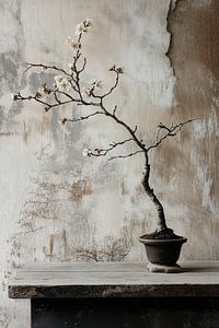 stillleben mit altem holz und bonsai und mandelblüte