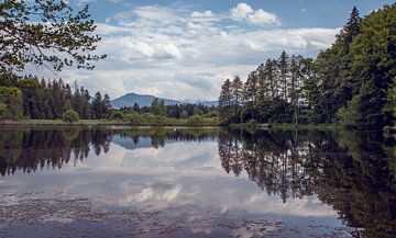 Uitzicht op de Alpen van D.R.Fotografie