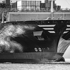 Bug voraus – Kraft in Bewegung von Sabine Wagner