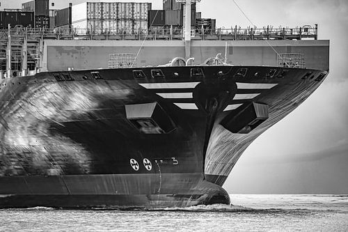 Bug ahead - power in motion