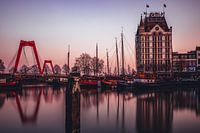 Oude Haven, Rotterdam