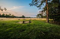 Lonely bench