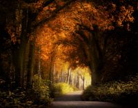 Secret Garden
