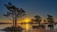 Sunrise at the Stappersven. by Ivo Schut Fotografie thumbnail