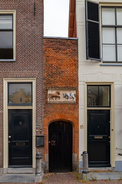 Doors by Michael Ruland