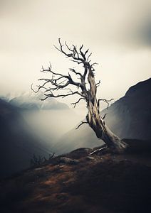 Raue Landschaft