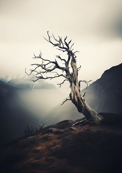 Raue Landschaft von fernlichtsicht