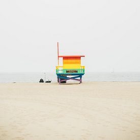 Venice Beach Pride van Patrycja Polechonska