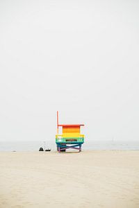 Venice Beach Pride sur Patrycja Polechonska