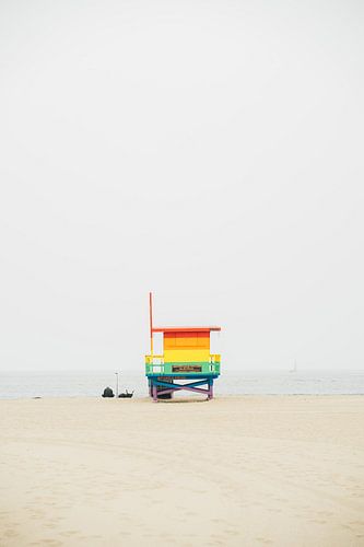 Venice Beach Pride by Patrycja Polechonska