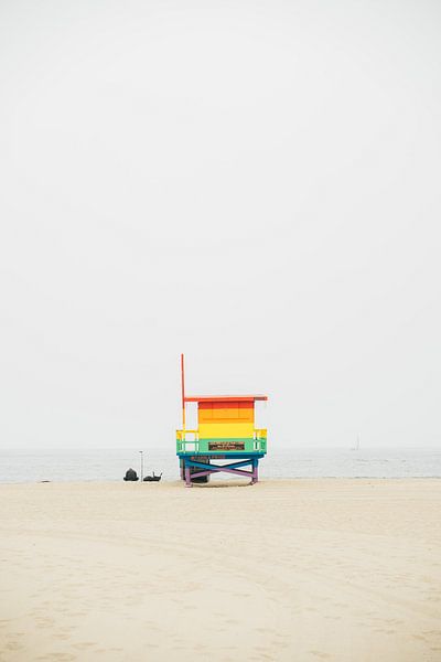 Venice Beach Pride par Patrycja Polechonska