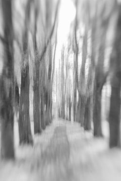 Aquarelle d'une allée d'arbres 1 sur Patricia van Kuik