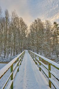 Winter zweden 07 van Geertjan Plooijer