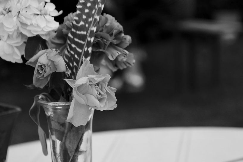 Die Blume von Sidney Graf