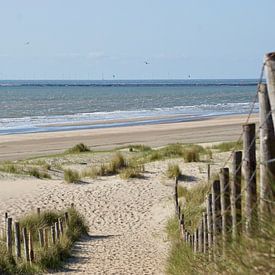 Beach entrance Bloemendaal aan Zee by Femke Looman
