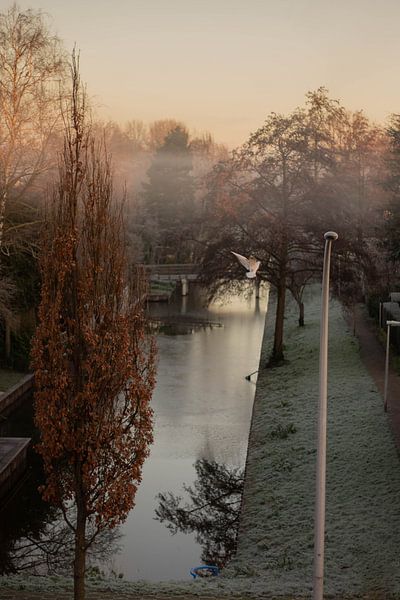 Winter season by Iris Beukelman