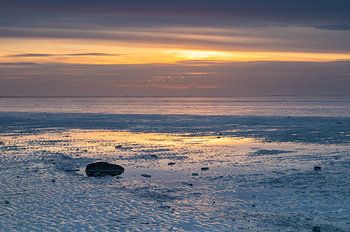 Rast auf dem Wattenmeer bei Sonnenuntergang