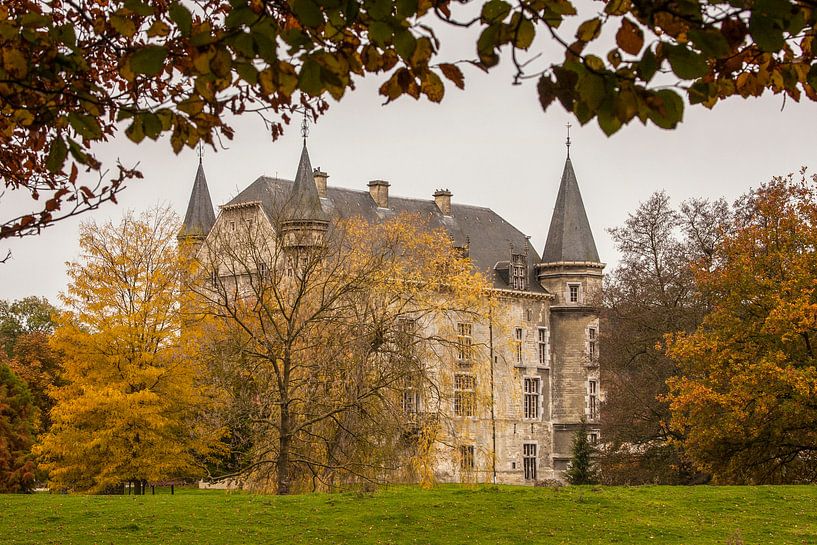 Kasteel Schaloen  in Oud-Valkenburg in herfstkleuren van John Kreukniet