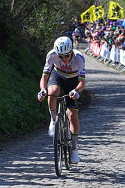 Tadej Pogacar on the Koppenberg