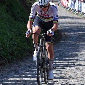 Tadej Pogacar auf dem Koppenberg von FreddyFinn