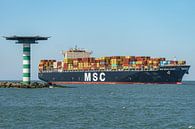 MSC Maria Elena container ship. by Jaap van den Berg thumbnail