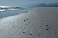 Empreintes dans le sable
