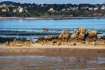 Mosselbanken van Saint Jacut, Bretagne bij eb by Harrie Muis