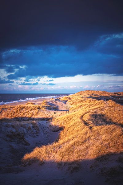 Ombres et lumières dans les dunes danoises par Florian Kunde