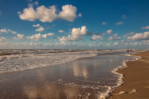 Sunny day by the sea