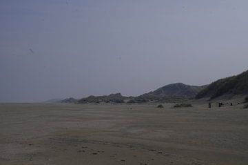 Stand en duinen van Ad Steenbergen