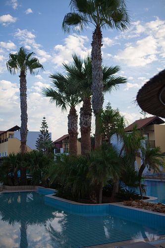 swimming pool in a resort on Cyprus