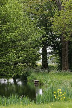 Uitzichtpunt von Kiezel Fotografie