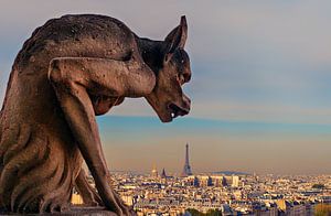 Chimera
